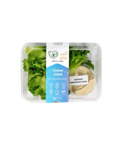 UNS Caesar Salad
